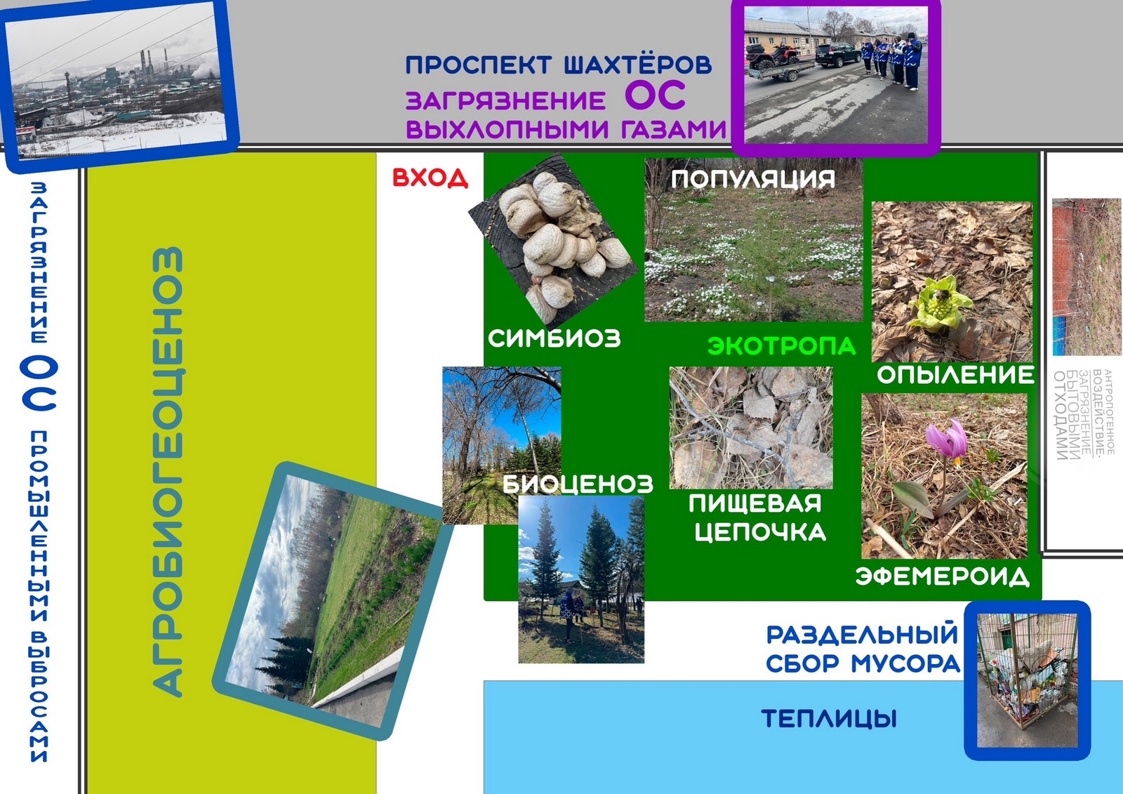 юннат.JPG