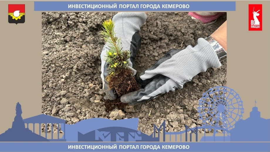 скарабей.jpg