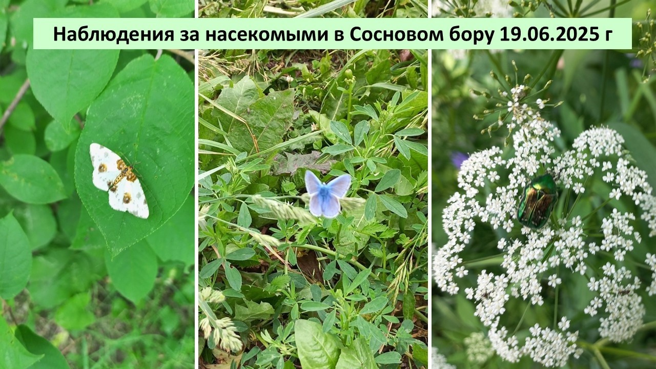 дневник1.JPG